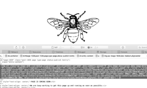 How to add a new image to your website